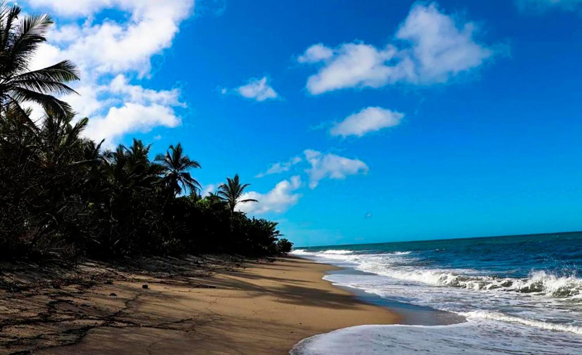 Hostal Mirador Dentro Del Parque Tayrona El Zaino Dış mekan fotoğraf