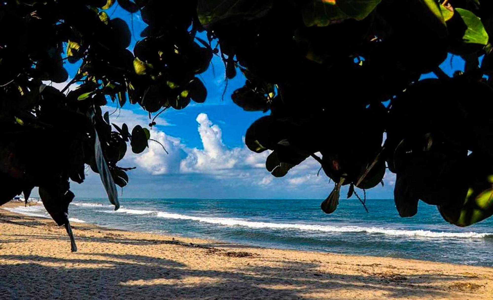 Hostal Mirador Dentro Del Parque Tayrona El Zaino Dış mekan fotoğraf