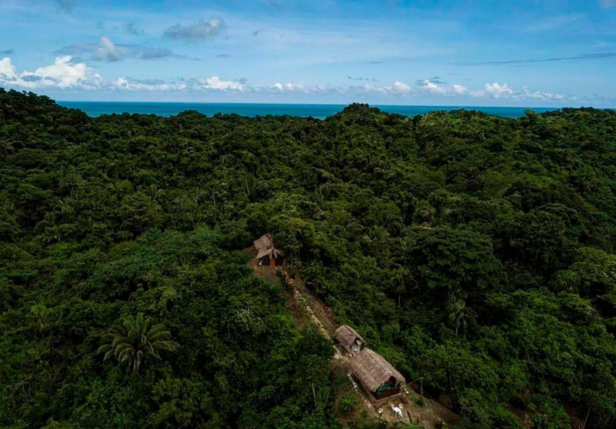 Hostal Mirador Dentro Del Parque Tayrona El Zaino Dış mekan fotoğraf