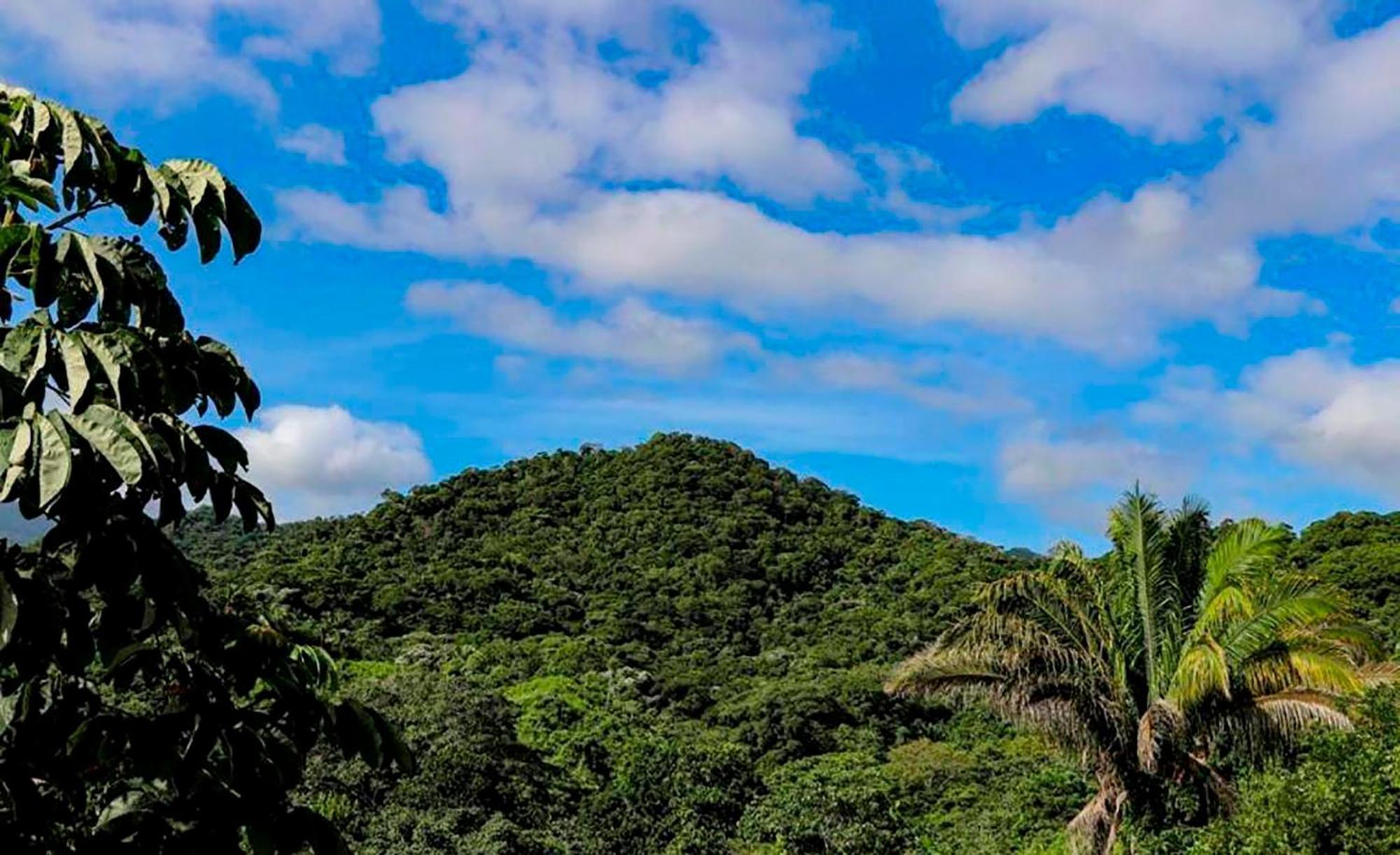 Hostal Mirador Dentro Del Parque Tayrona El Zaino Dış mekan fotoğraf