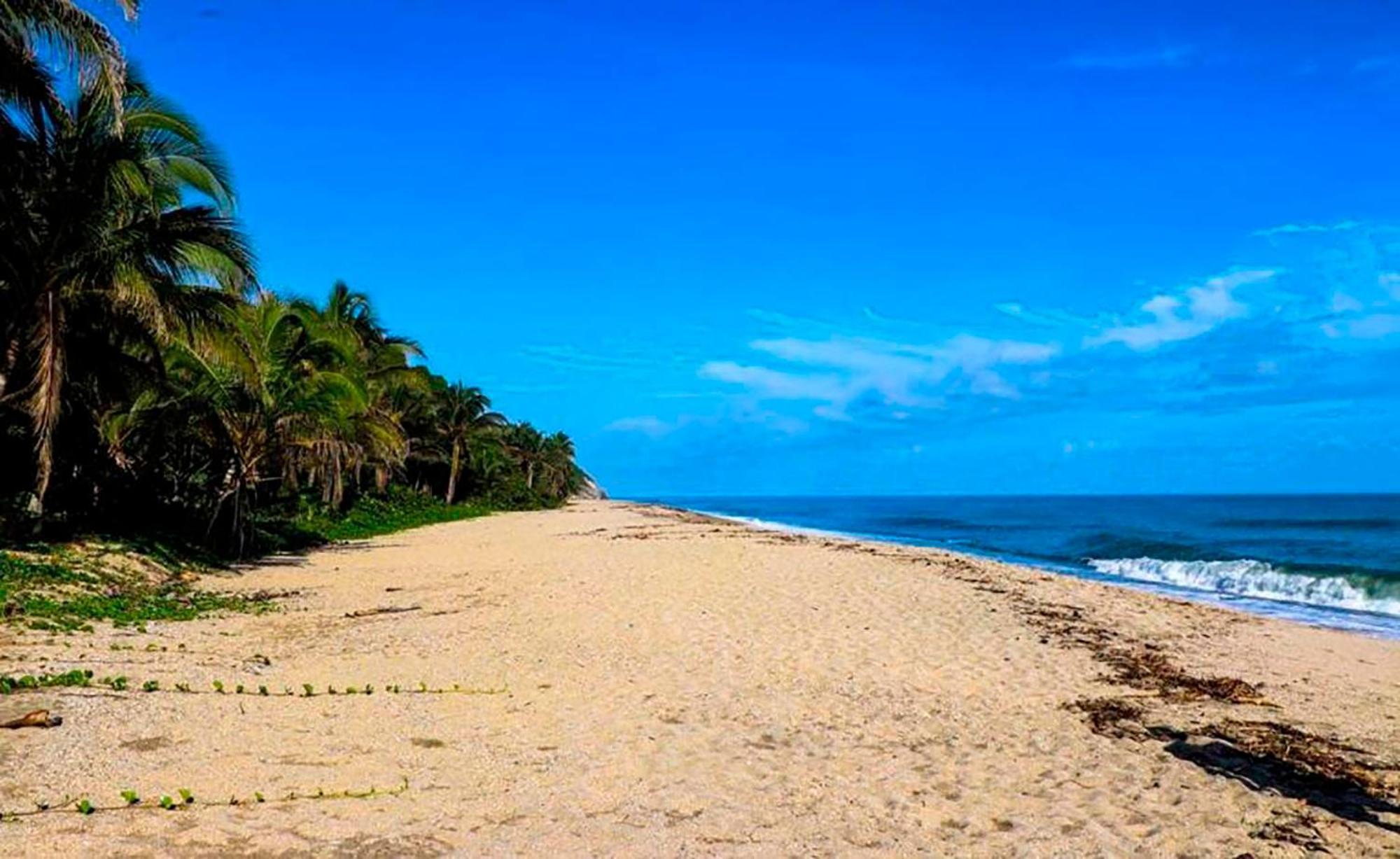Hostal Mirador Dentro Del Parque Tayrona El Zaino Dış mekan fotoğraf