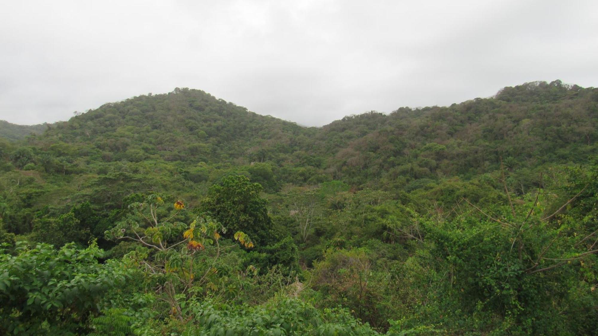 Hostal Mirador Dentro Del Parque Tayrona El Zaino Dış mekan fotoğraf