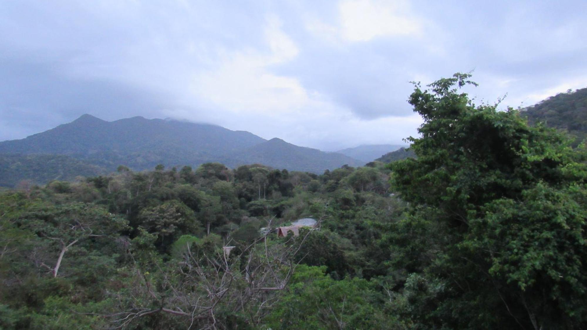 Hostal Mirador Dentro Del Parque Tayrona El Zaino Dış mekan fotoğraf