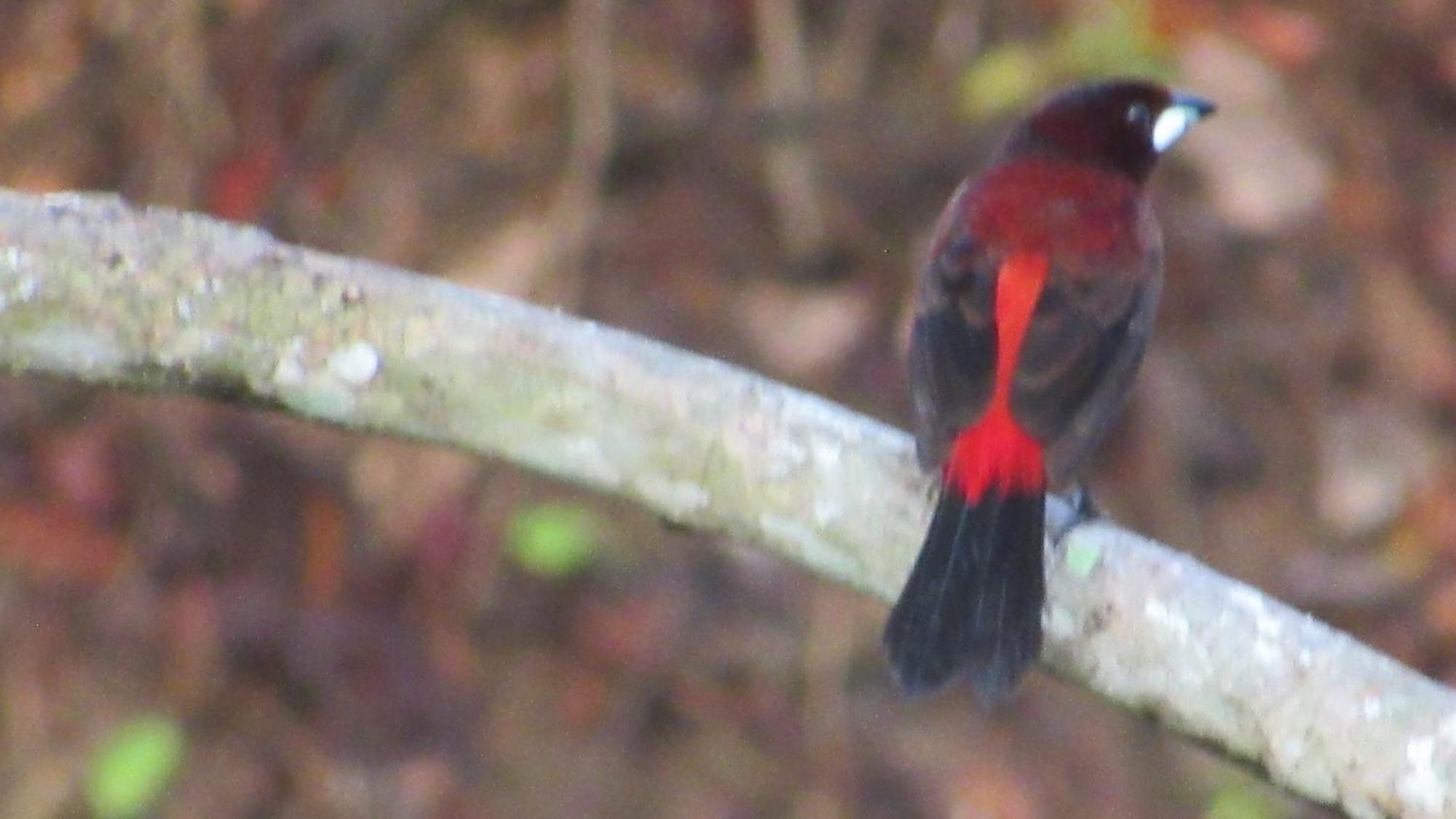 Hostal Mirador Dentro Del Parque Tayrona El Zaino Dış mekan fotoğraf